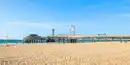 Bild 1 von Moxy the Hague