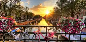 Moxy Amsterdam Schiphol Airport