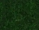 Bild 1 von Kunstrasen Green Grün