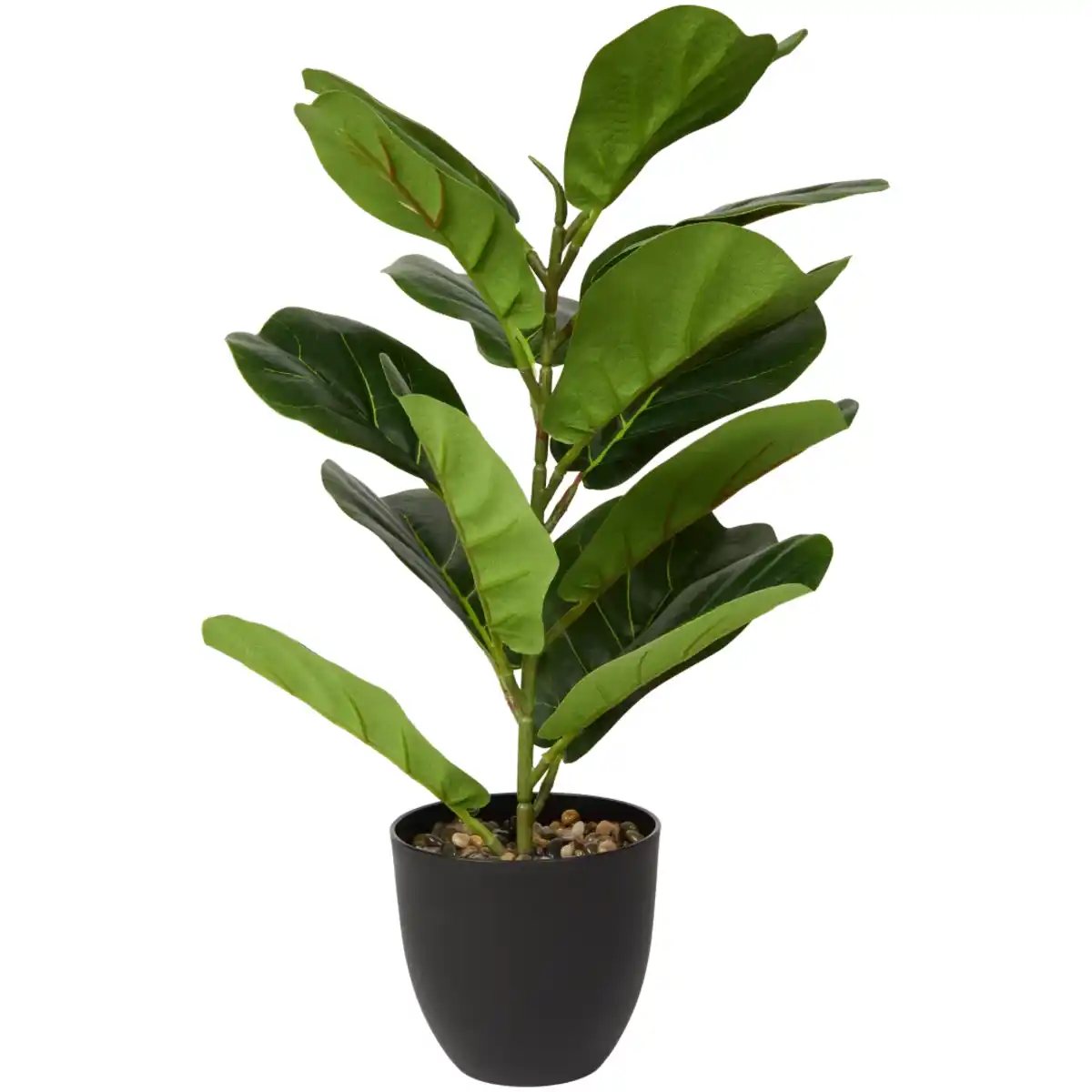Bild 1 von Künstlicher Ficus im Topf