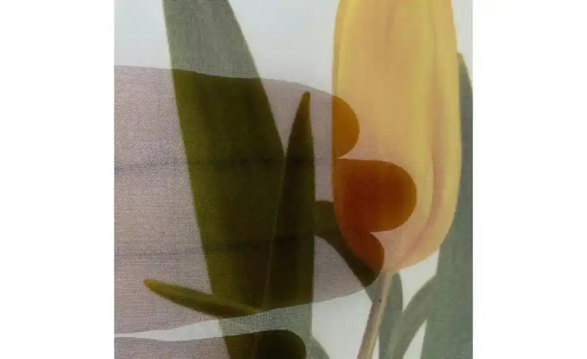 Bild 3 von Schlaufenpanneaux