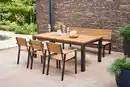 Bild 1 von GARTENTISCH N86396, Robinienfarben