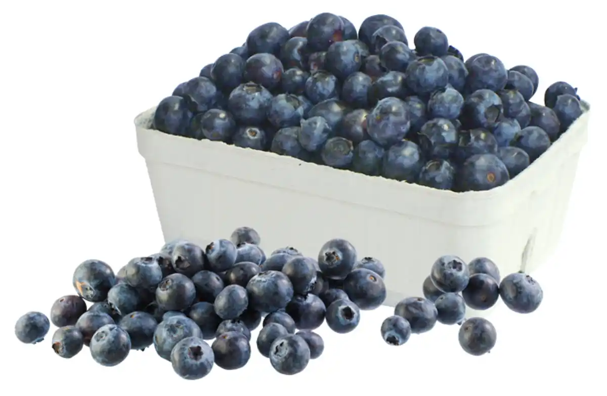 Bild 1 von Heidelbeeren
