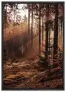 Bild 1 von Bild Image in Braun/Beige ca. 50x70cm, Braun, Dunkelbraun, Beige