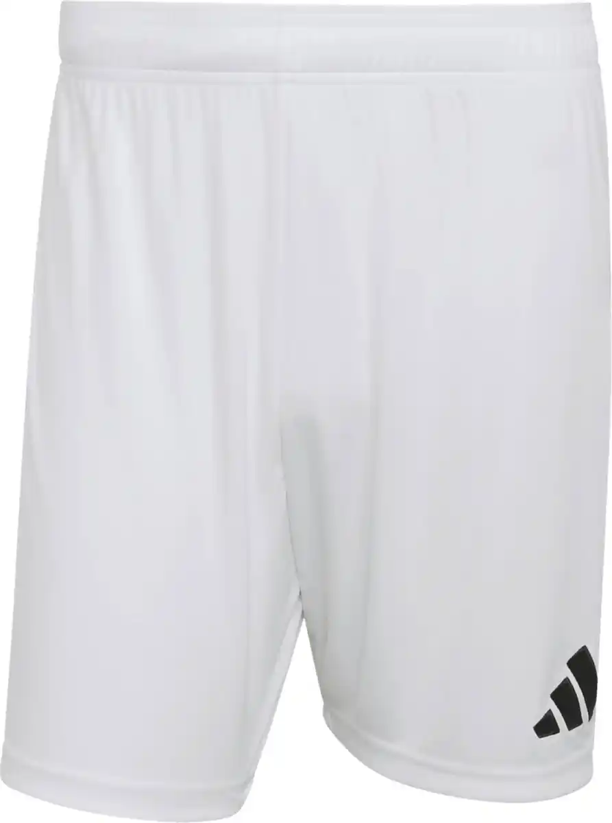 Bild 3 von ADIDAS Herren-Funktionsshorts
