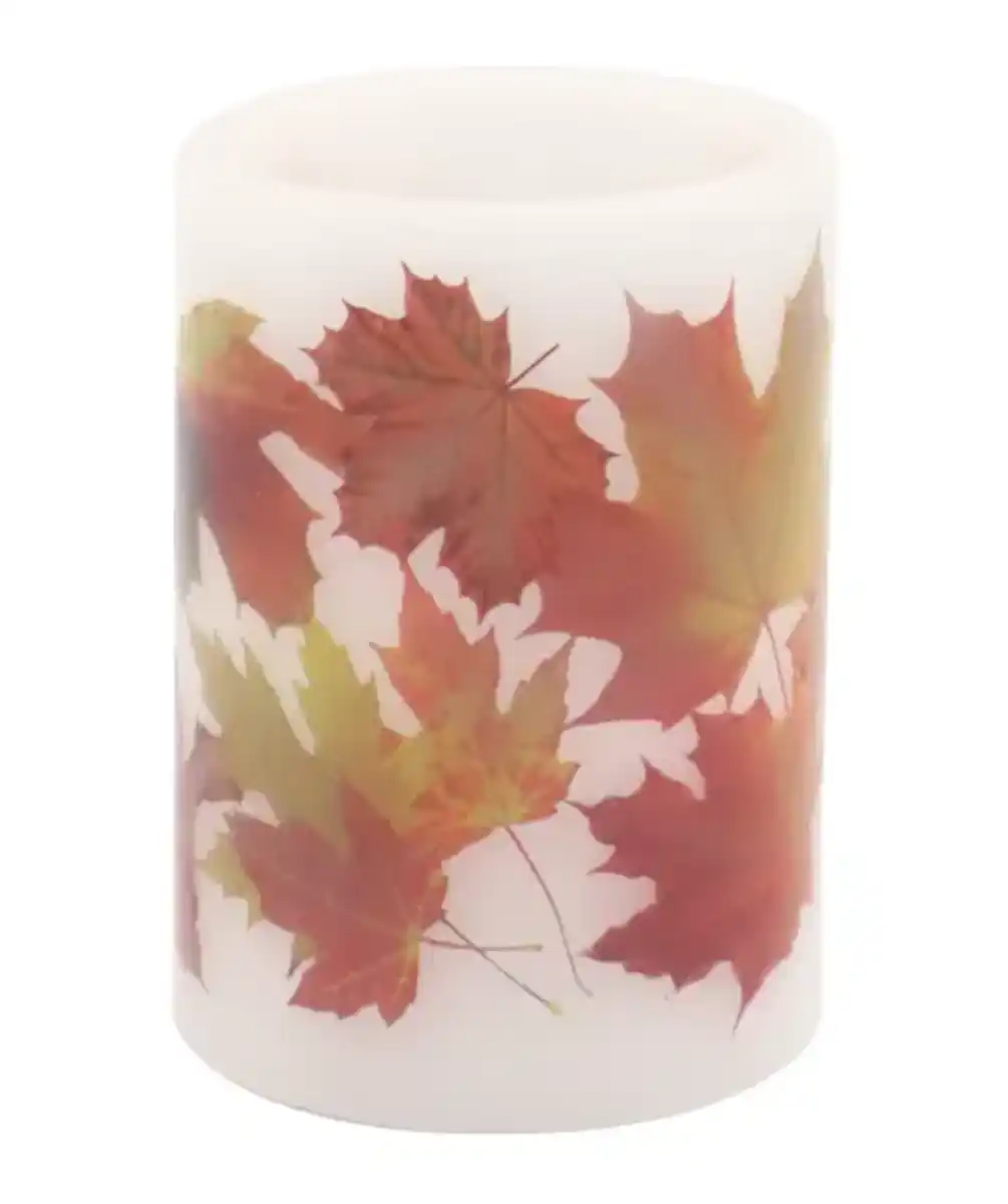 Bild 1 von LED-Echtwachskerze Herbst, weiß