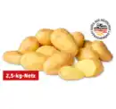 Bild 1 von Deutsche Speisefrühkartoffeln*