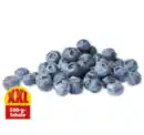 Bild 1 von Heidelbeeren