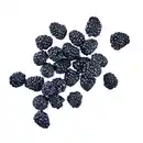 Bild 1 von Brombeeren