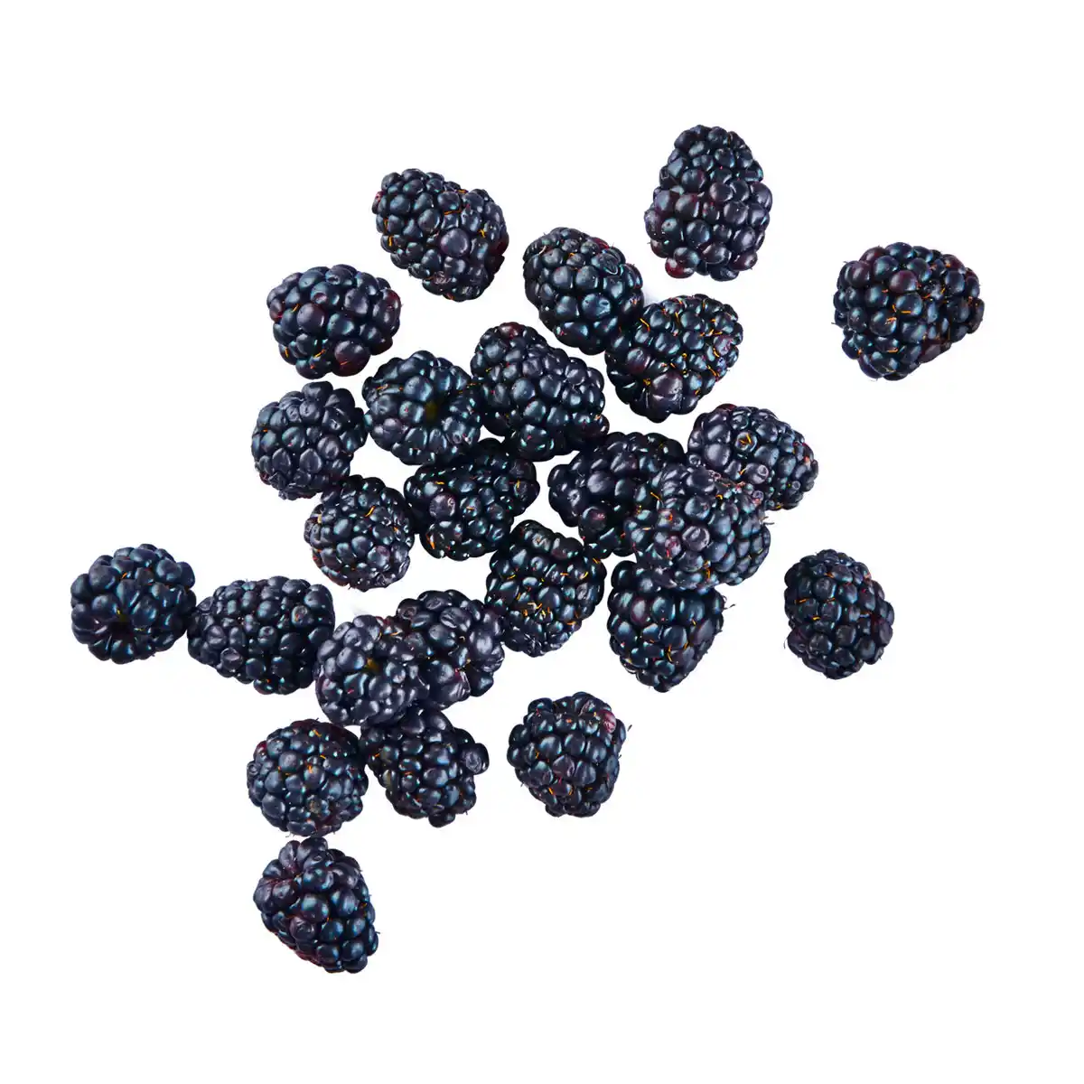Bild 1 von Brombeeren