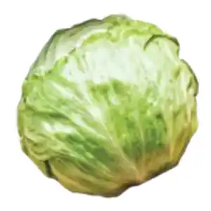GO Regio Deutscher Eisbergsalat