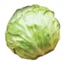 Bild 1 von GO Regio Deutscher Eisbergsalat