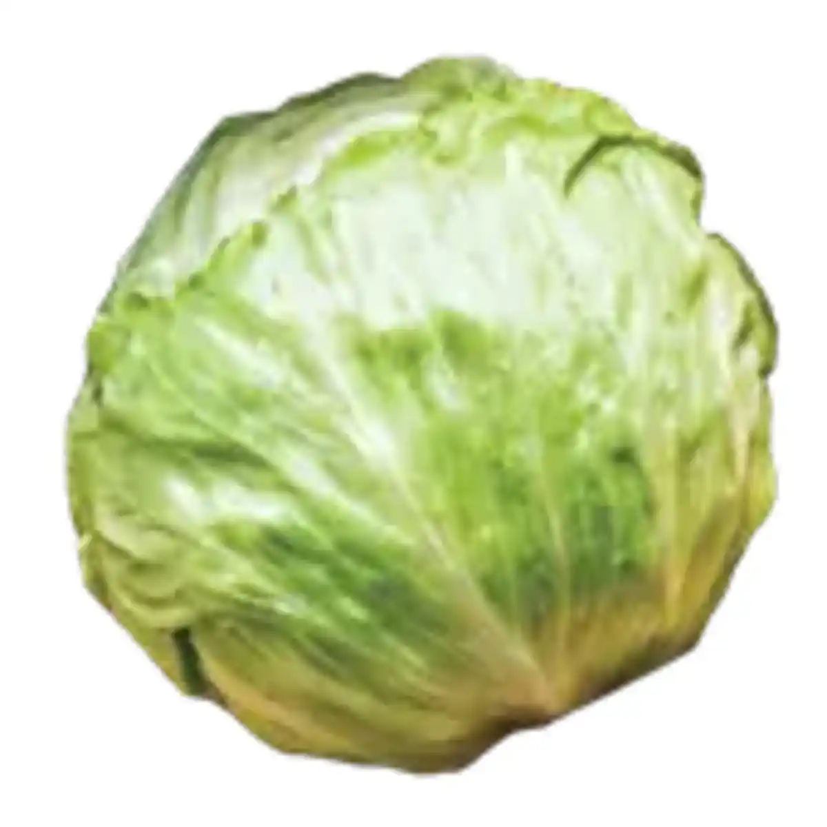 Bild 1 von GO Regio Deutscher Eisbergsalat