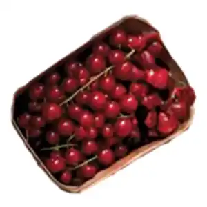 GO Regio Deutsche Johannisbeeren