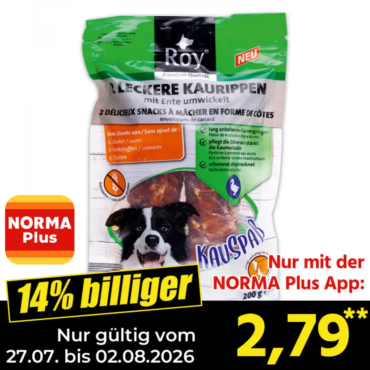 Bild 1 von Roy Hunde Kauspass