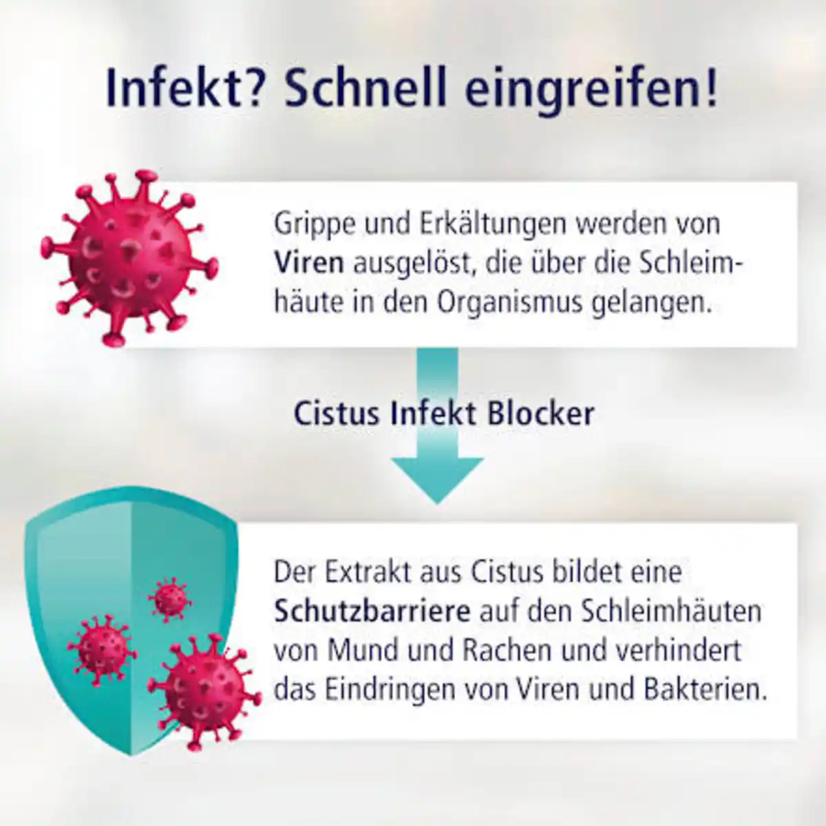 Bild 4 von KLOSTERFRAU Cistus Infekt Blocker, 30 ml