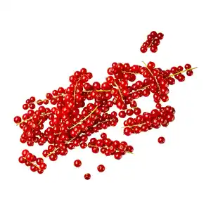 Johannisbeeren