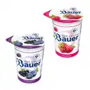 Bild 1 von BAUER Der Große Bauer