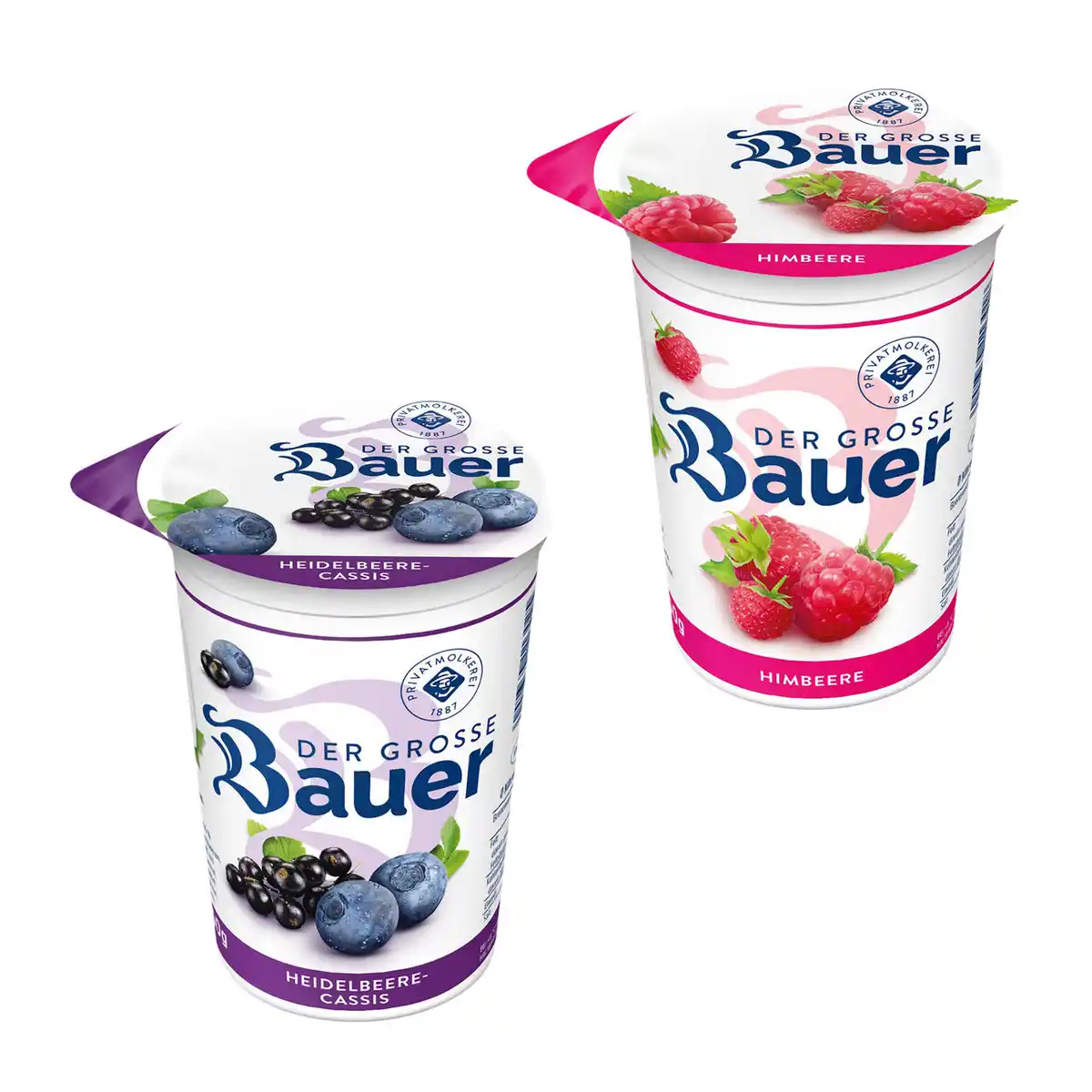 Bild 1 von BAUER Der Große Bauer
