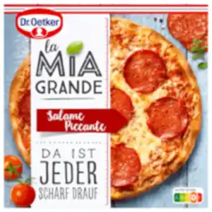 Dr. Oetker La Mia Grande Salame Piccante
