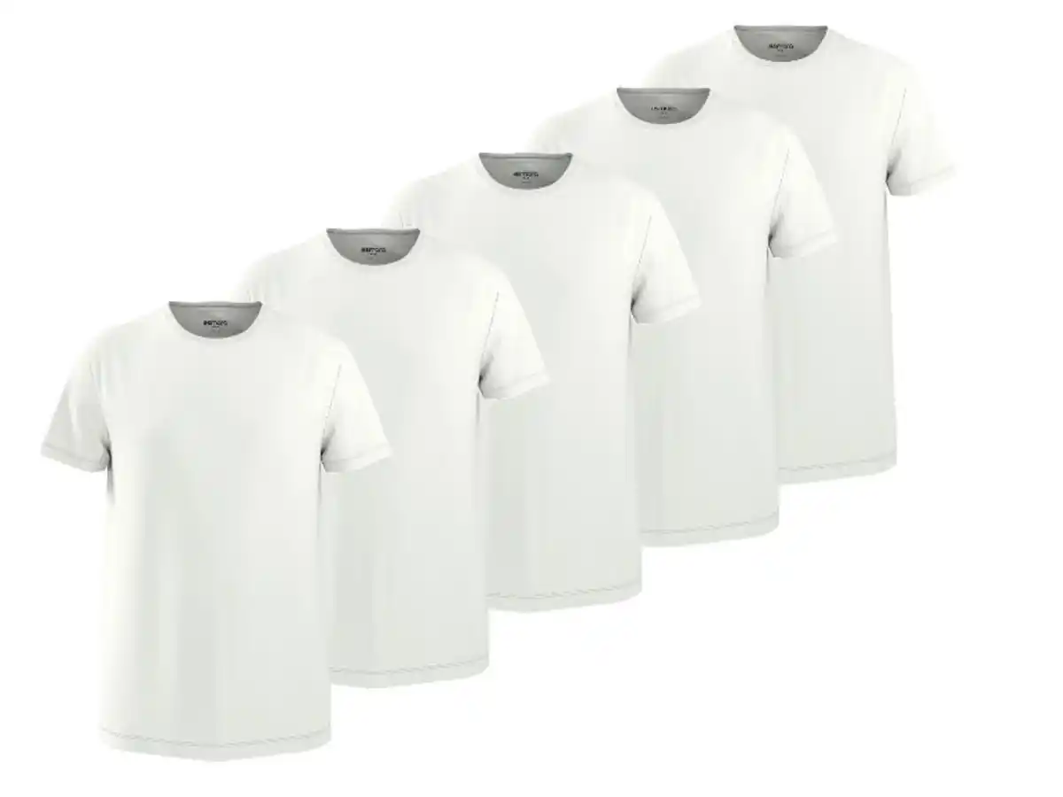Bild 1 von ESMARA MEN Herren T-Shirt, 5 Stück