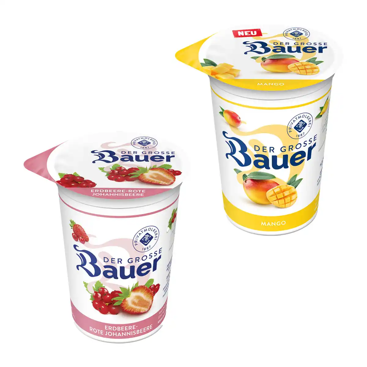 Bild 1 von BAUER Der Große Bauer