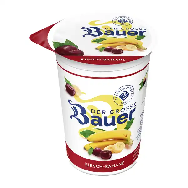 Bild 3 von BAUER Der Große Bauer