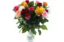 Bild 1 von Harlekin Rosen