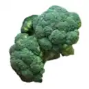 Bild 1 von GO Regio Deutscher Broccoli