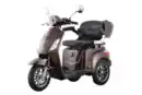Bild 1 von E-Seniorenmobil Aktiv Mobil E-Trike Pro braun - 25 km/h - mit Hardkoffer
