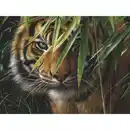 Bild 1 von Tiger, Malen nach Zahlen Set