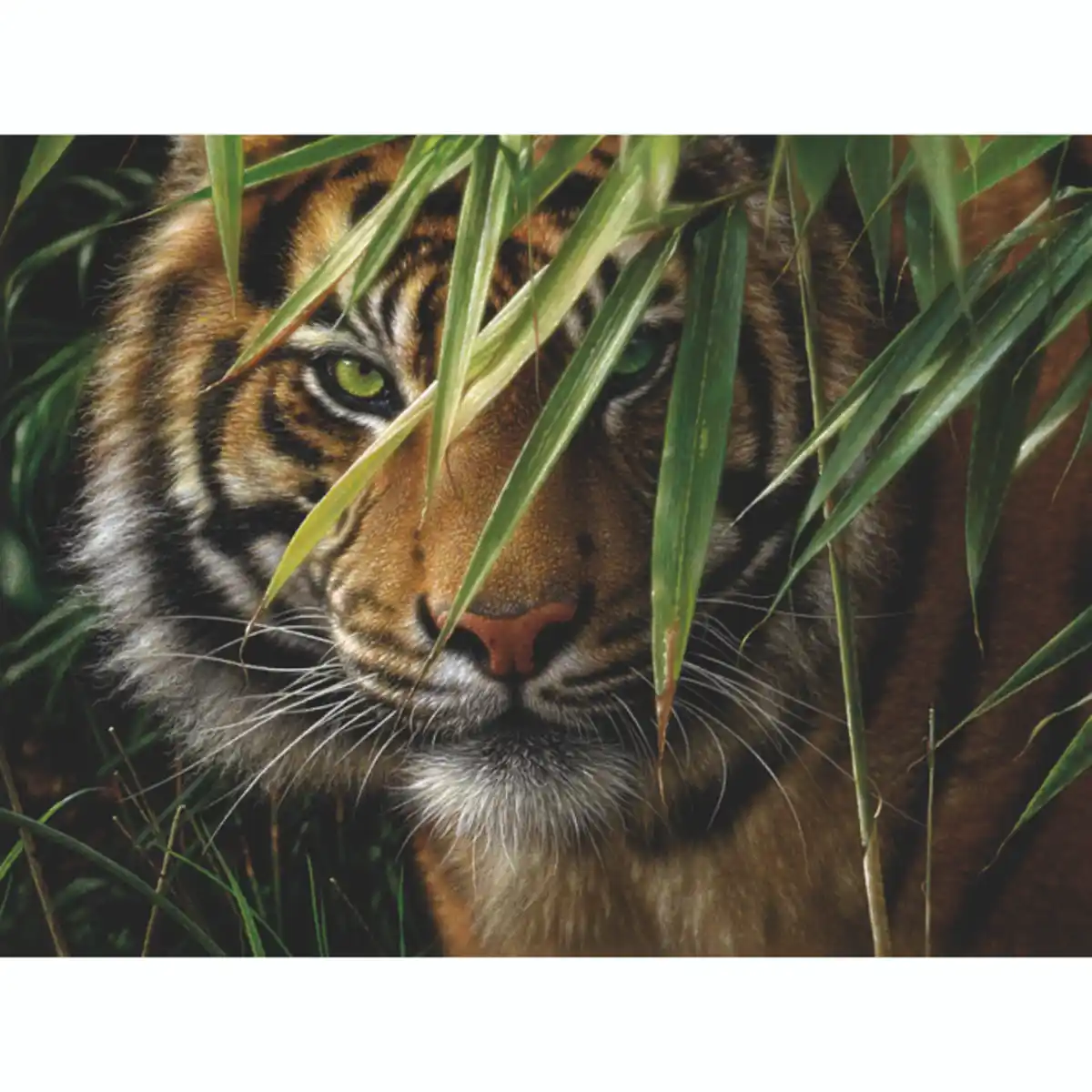 Bild 1 von Tiger, Malen nach Zahlen Set