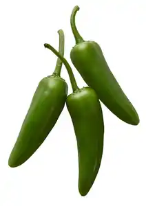 Marokk./span. Jalapeno, grün, 50-g-Packg.