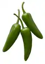 Bild 1 von Marokk./span. Jalapeno, grün, 50-g-Packg.
