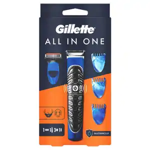GILLETTE All in One Styler