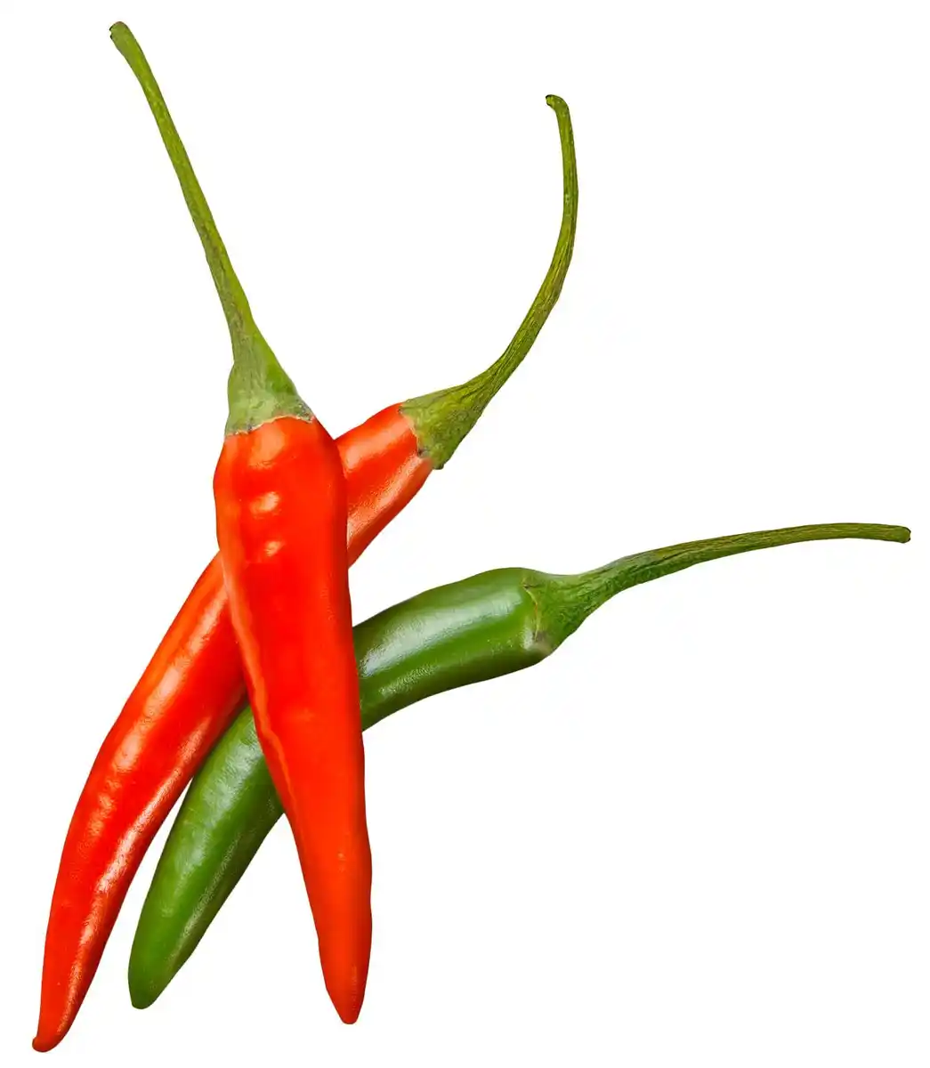Bild 1 von Niederl. Chilli, mix, 50-g-Packg.