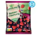 Bild 1 von GREENLAND Beerenmischung