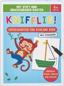 IDEENWELT Lernbox mit Stift Kniffelig