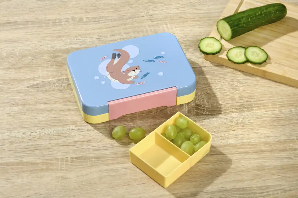 Bild 3 von IDEENWELT Bento-Box Otter