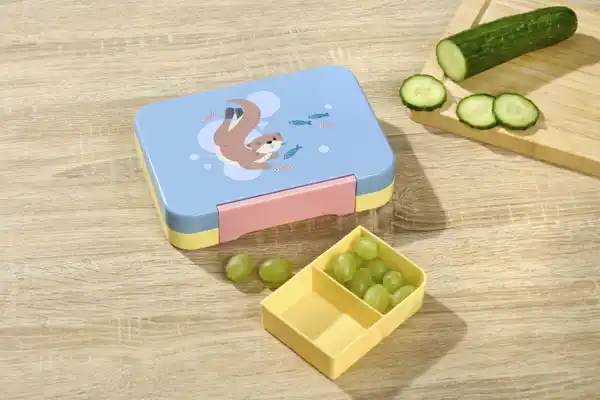 Bild 3 von IDEENWELT Bento-Box Otter