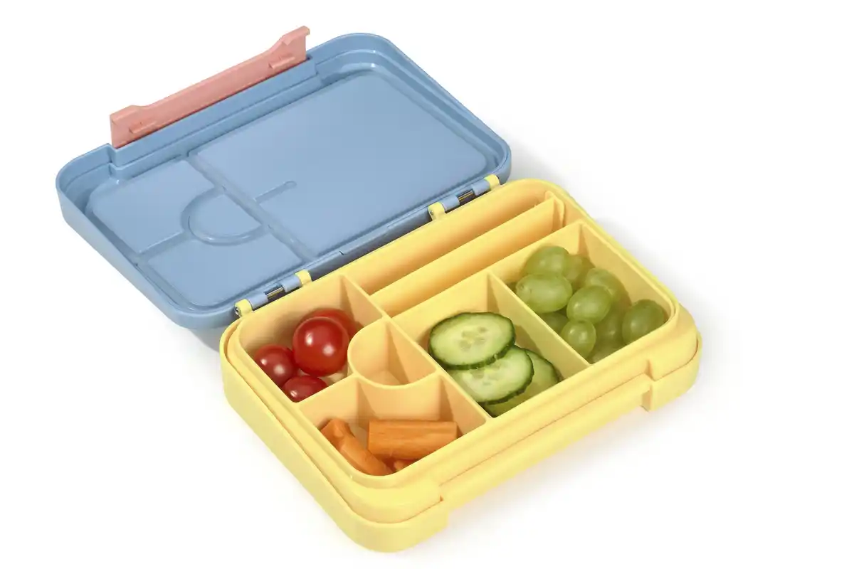 Bild 4 von IDEENWELT Bento-Box Otter