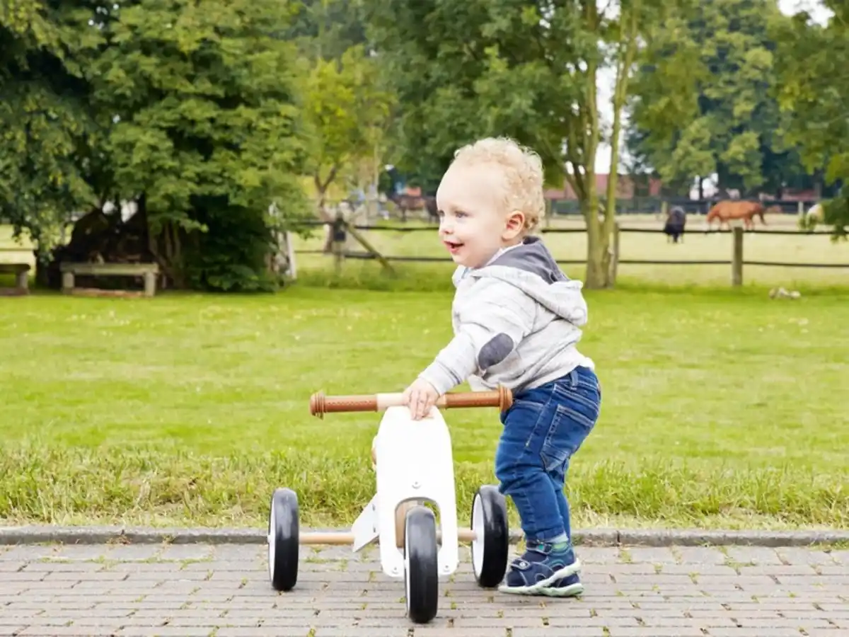 Bild 2 von Pinolino Mini-Laufdreirad ""Charlie"", weiß-natur""