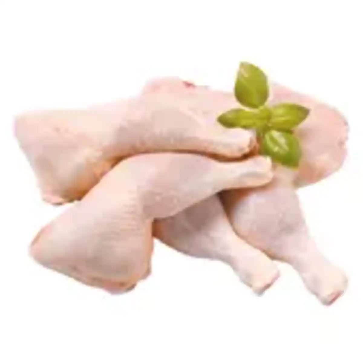 Bild 1 von MEINE FLEISCHEREI Frische Hähnchenschenkel mit Rückenstück