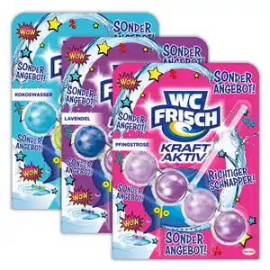 WC Frisch WC-Stein Kraft Aktiv