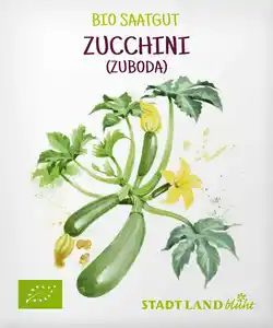 Stadt Land blüht Saaten, Zucchini (Zuboda), 1 St
