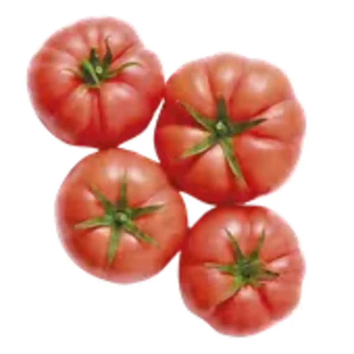 Bild 1 von Tomaten Rosa