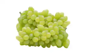Tafeltrauben