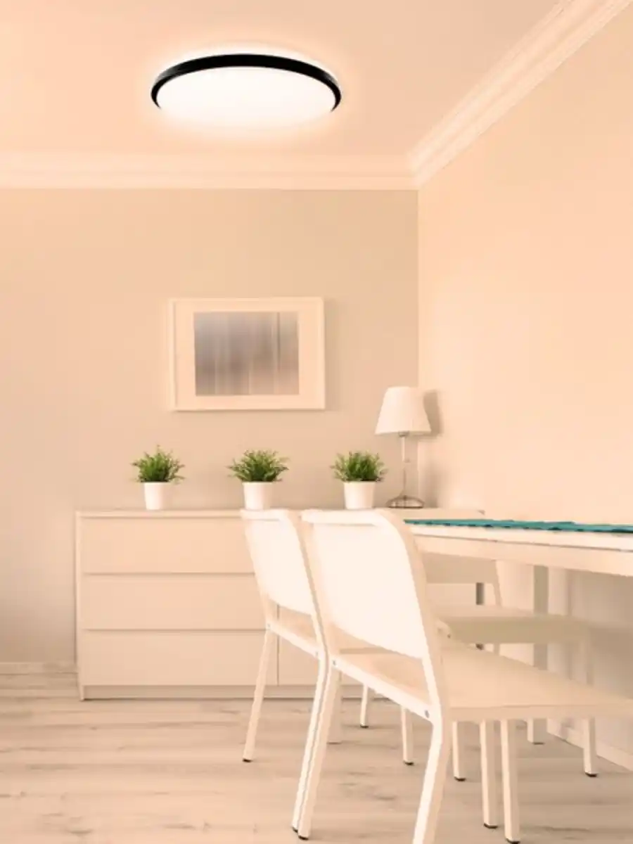 Bild 4 von LED Wand und Deckenleuchten Taro+ 40 RGB