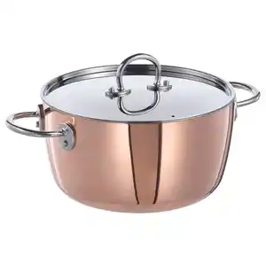 FINMAT Topf mit Deckel, Kupfer/Edelstahl, 3 l