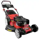 Bild 1 von Benzin Rasenmäher BIG WHEELER 554.3 R